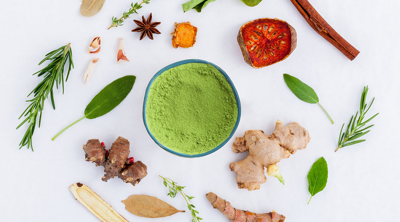 A bowl of matcha green tea surrounded by ginger, turmeric, anise and other functional foods on a white surface.