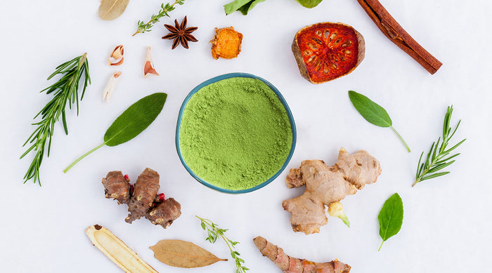 A bowl of matcha green tea surrounded by ginger, turmeric, anise and other functional foods on a white surface.