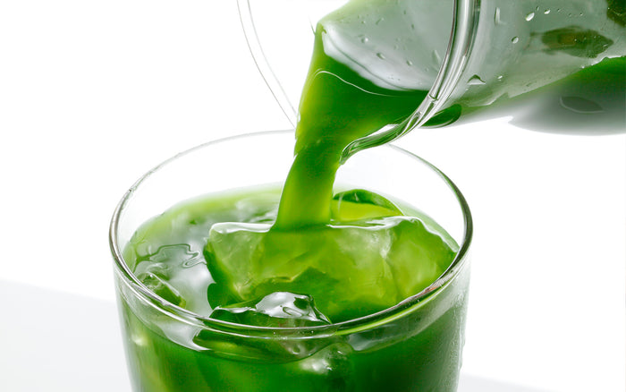 buy kosher matcha tea from ikeda tea world