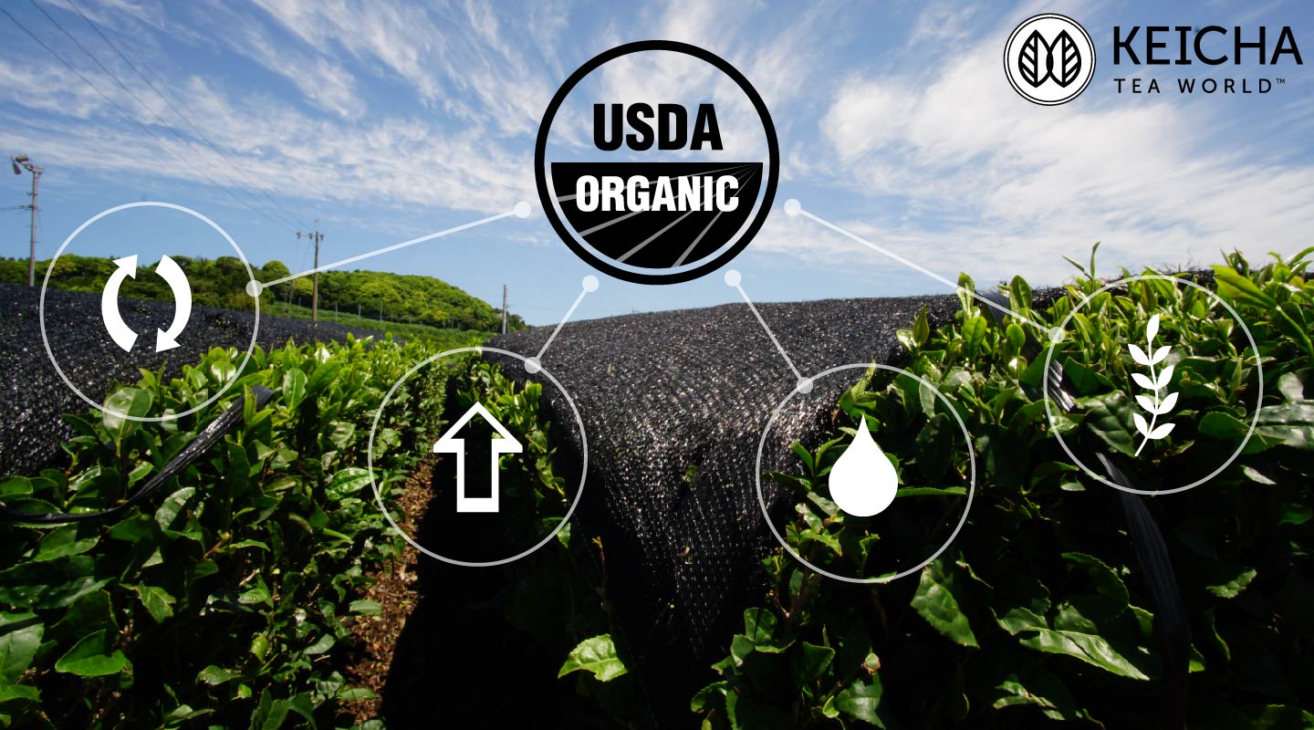 An organic matcha tea field overlayed with icons representing USDA organic, biodiversity, conservation, resource cycling and ecological balance