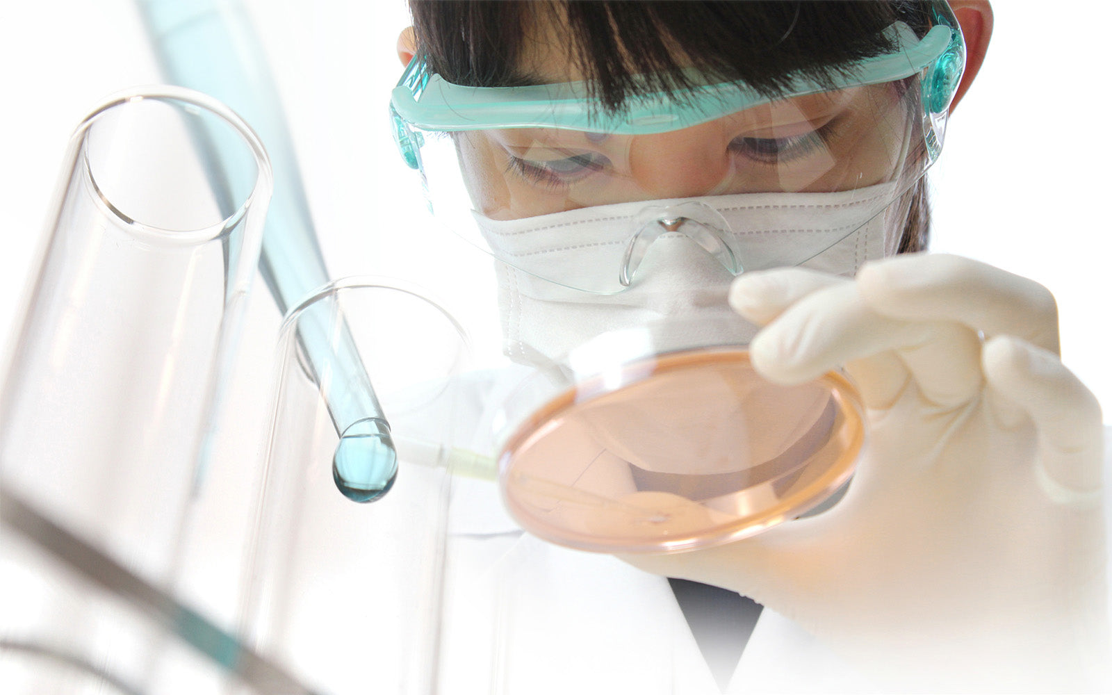 Organic Matcha Certifications