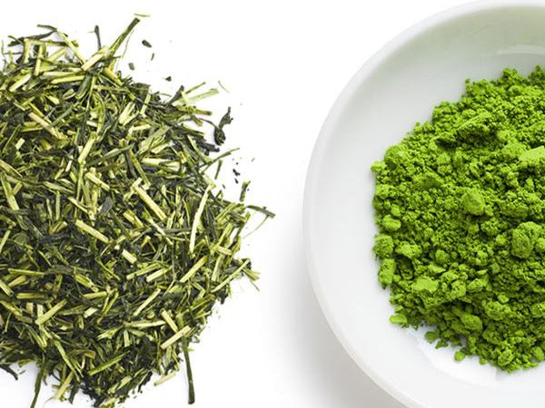 MATCHA AND SENCHA TEA