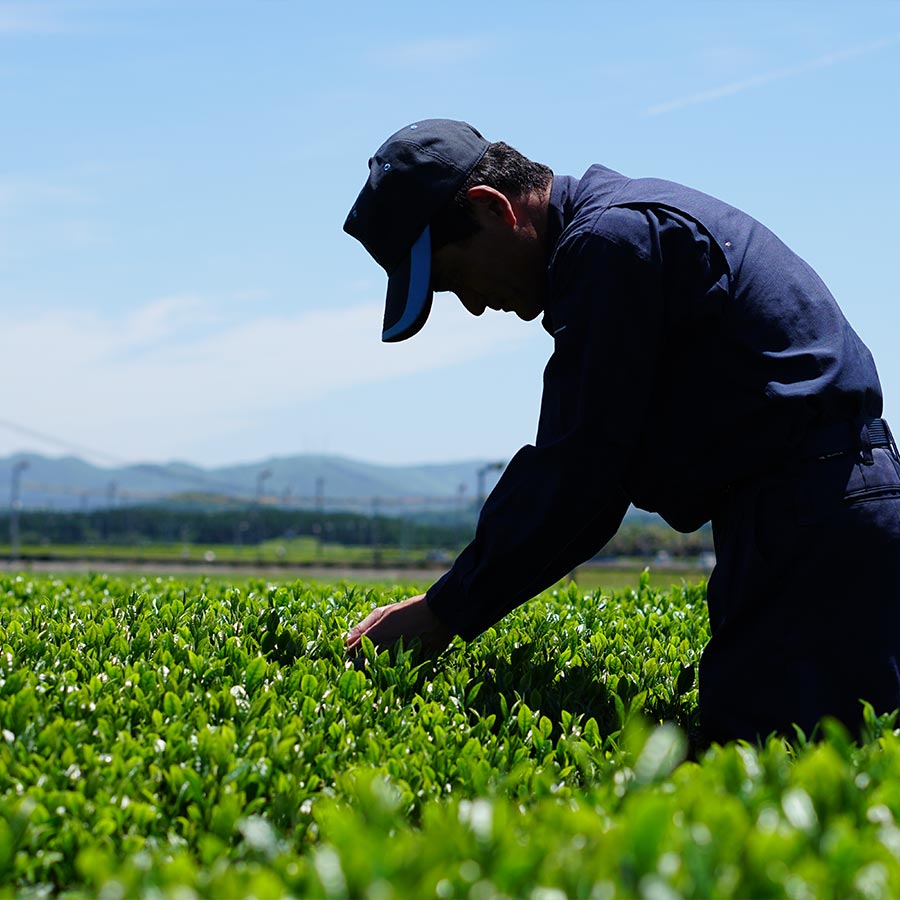 Our Farming Practices