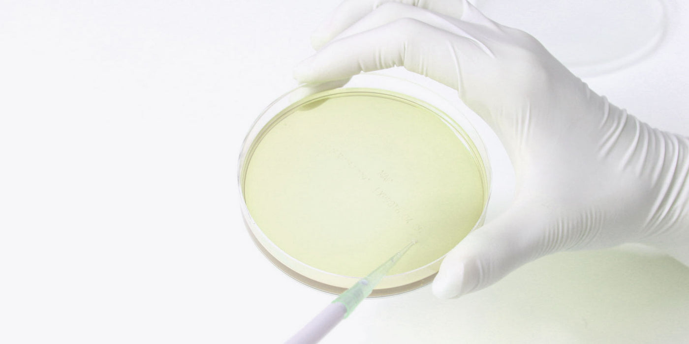 ikeda quality control